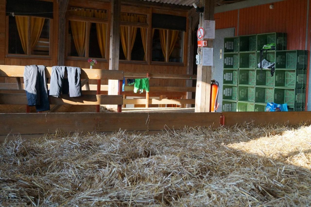Farm stay Bolderhof *