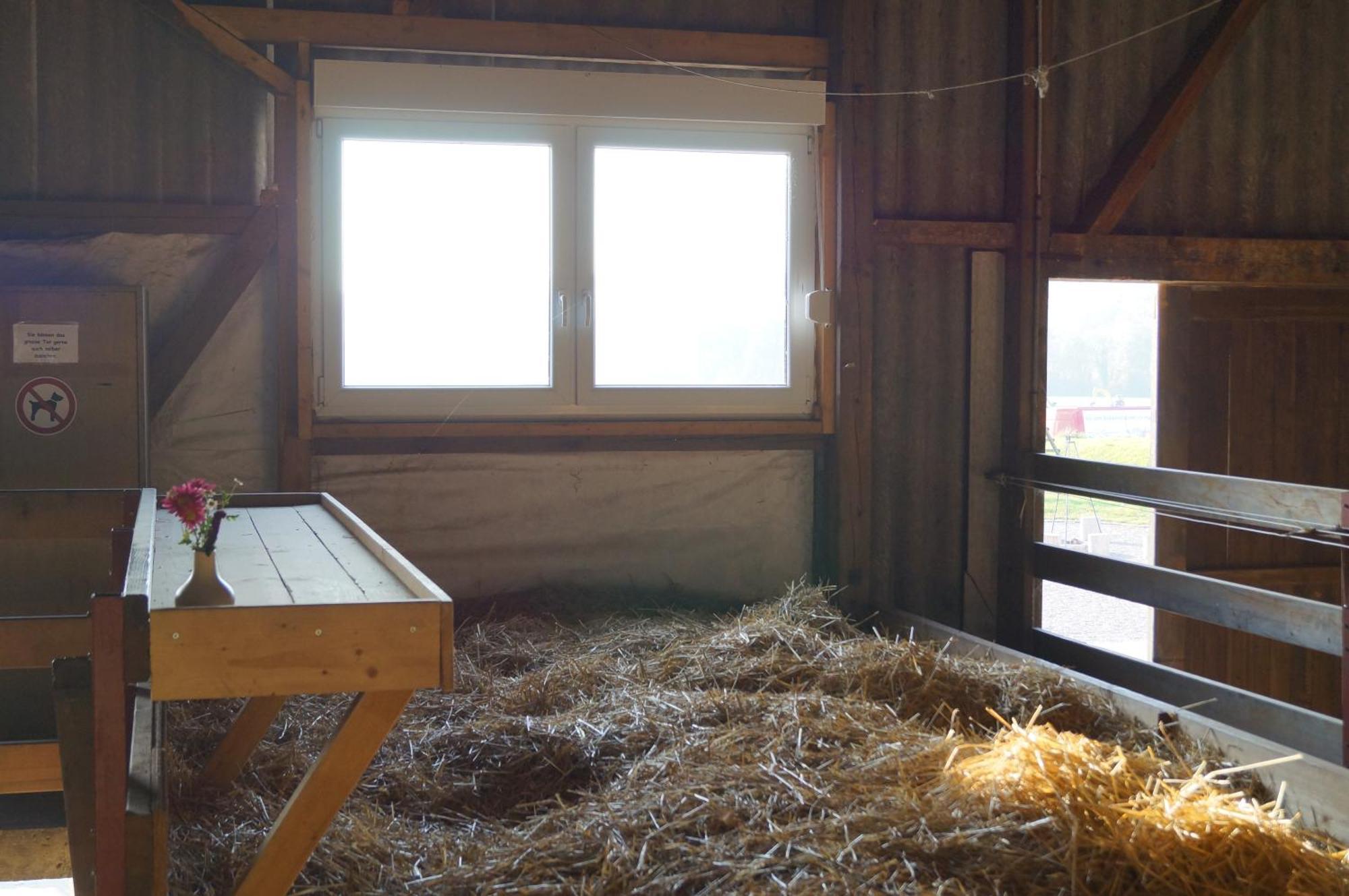 Bolderhof Farm stay *
