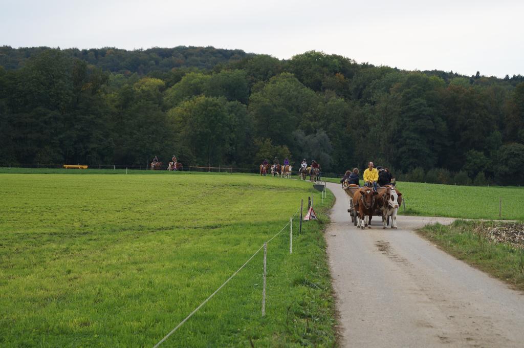Bolderhof Hemishofen