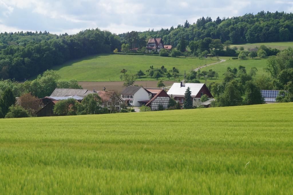 Bolderhof Farm stay Hemishofen